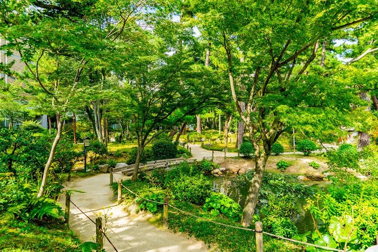 縮景園 (Shukkeien) 4