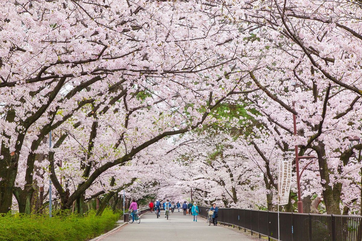 夙川公园