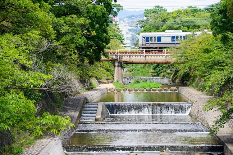 夙川公园 2