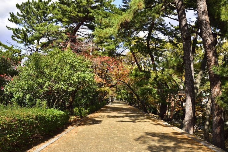 夙川公园 3
