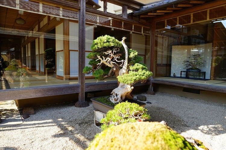 Bảo tàng Bonsai Harukaen