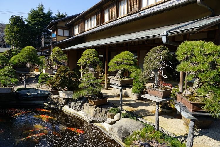 Bảo tàng Bonsai Harukaen 2