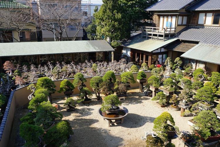 Bảo tàng Bonsai Harukaen 3