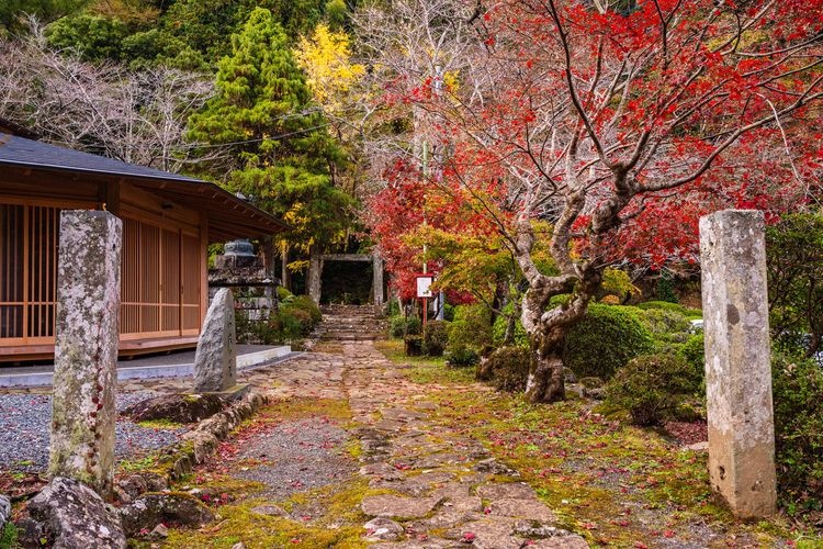 Shuzen-ji Temple
