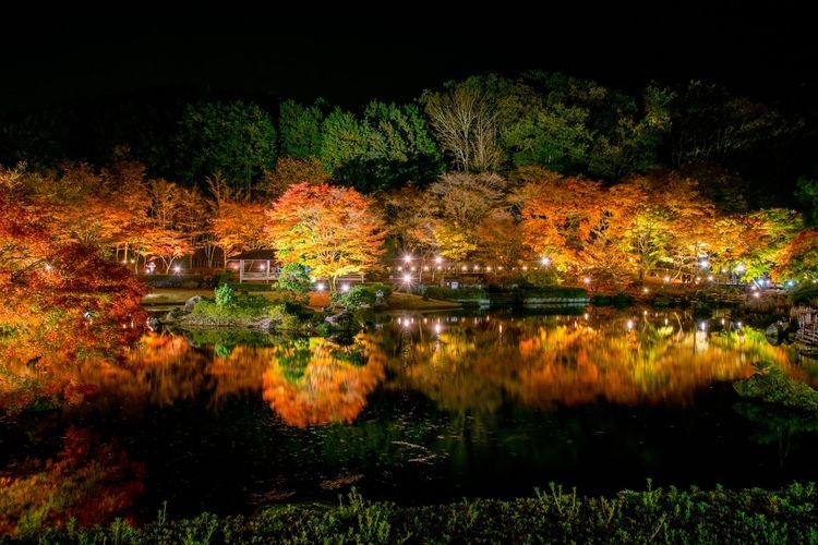 修善寺虹之鄉 (Shuzenji Nijino Sato) 2