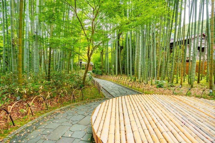 修善寺溫泉