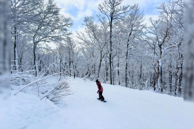 Ski Jam Katsuyama