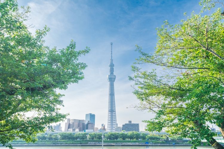 Tokyo Skytree 3