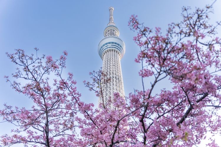 Tokyo Skytree 4