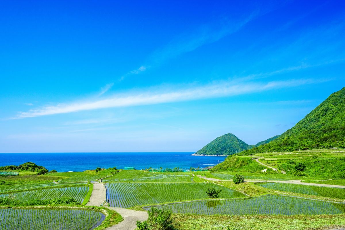 Ruộng bậc thang Sodeshi