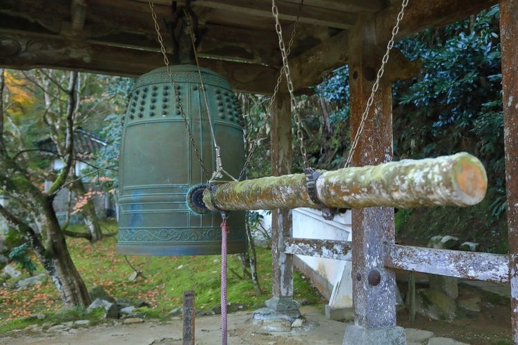 宗鏡寺(沢庵寺) 2