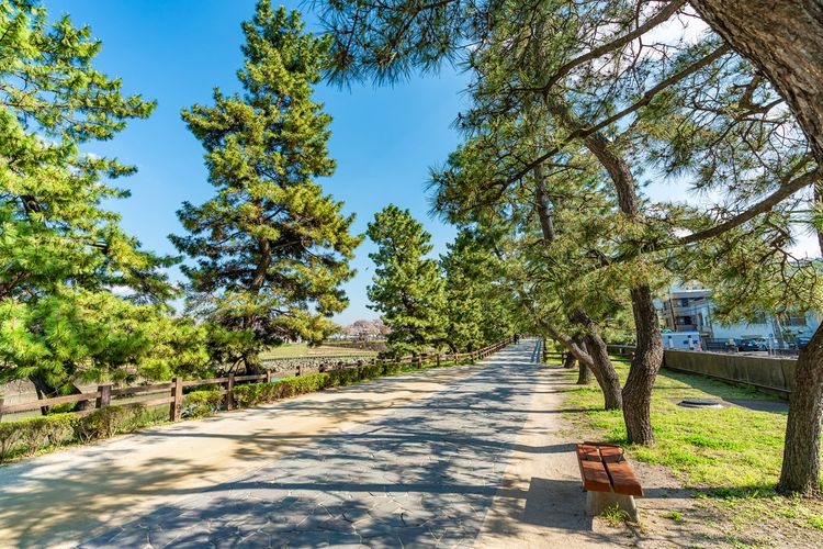 Soka Matsubara