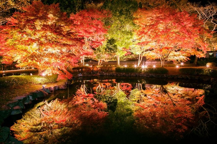 曽木公园 (Sogi Park)