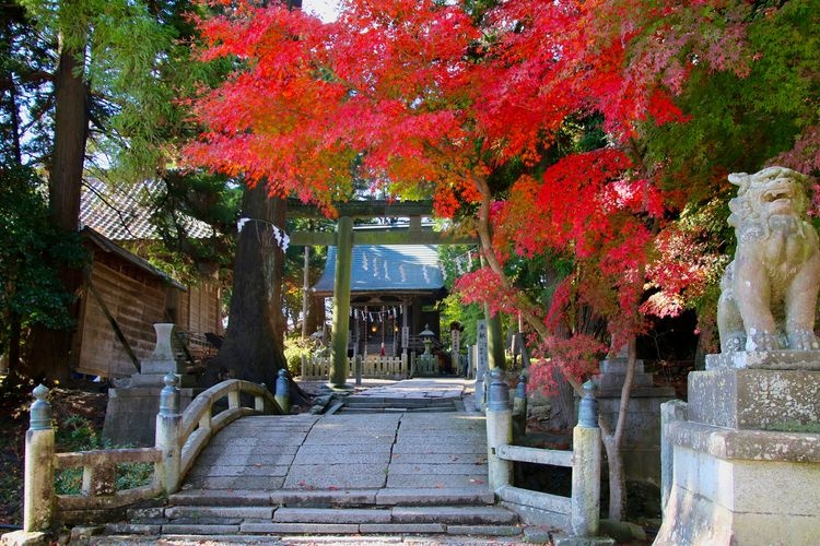 相馬中村神社