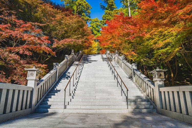 Temple Sonkei-ji (Hattasan) 3