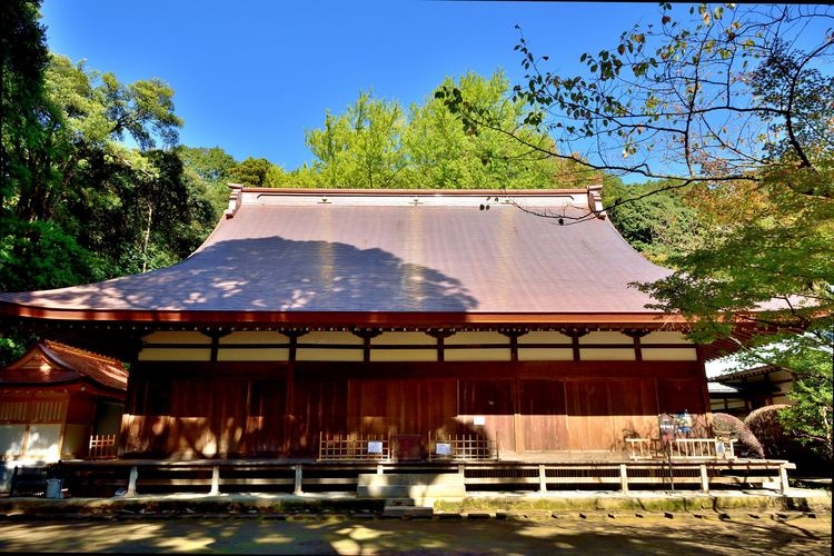早雲寺 (Sounji Temple)