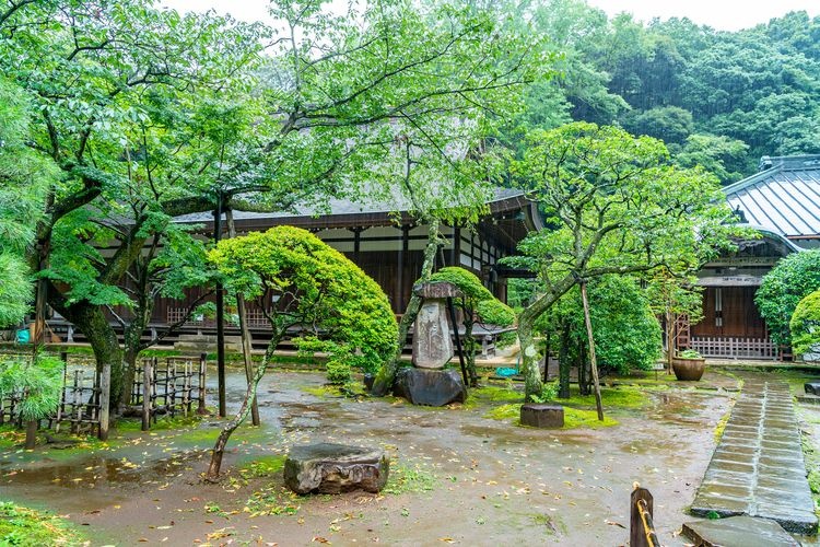 早雲寺 (Sounji Temple) 2