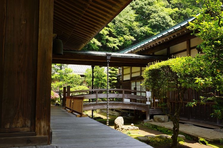 早雲寺 (Sounji Temple) 4