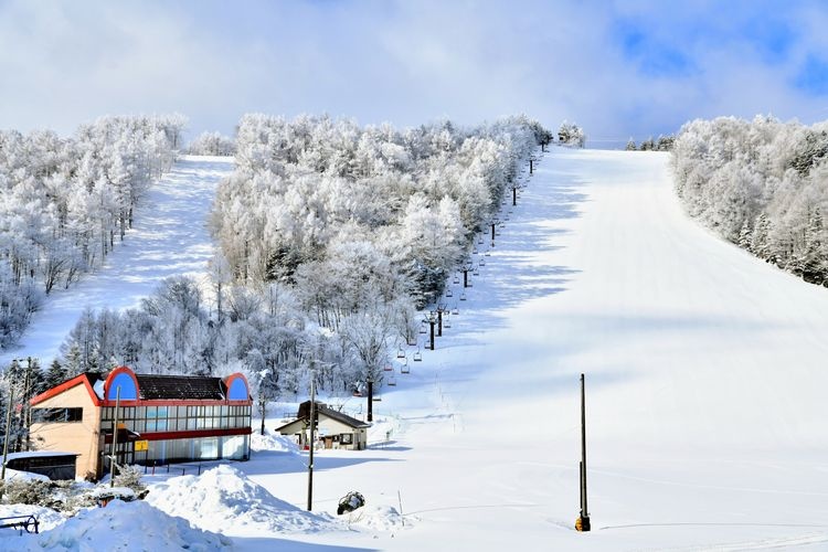 Sugadaira Kogen Snow Resort 3