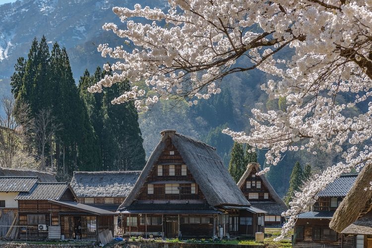 Suganuma Gassho-zukuri Village (Preservation District for Traditional Buildings) 2