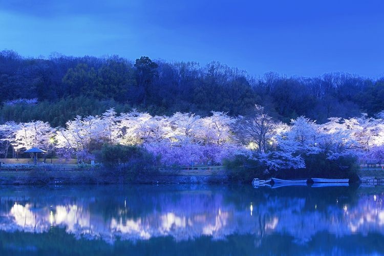 Suigen Park