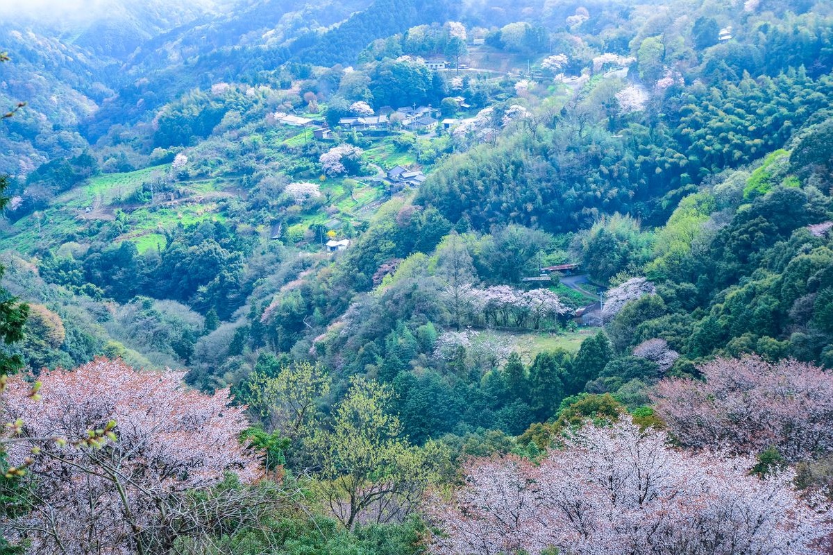 스이하 고원 (Suiha Kogen)