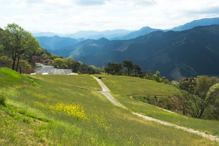 Suiha Kogen Plateau 4