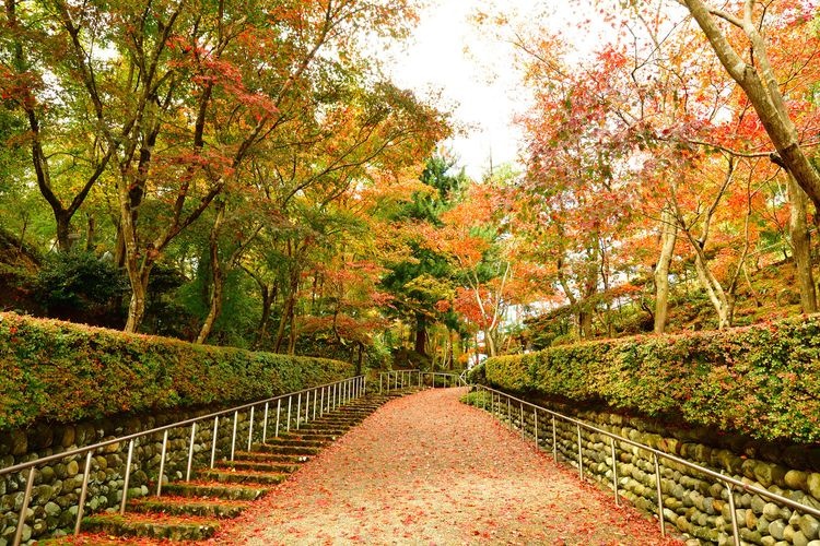 쇼운산소 (松雲山荘) 3
