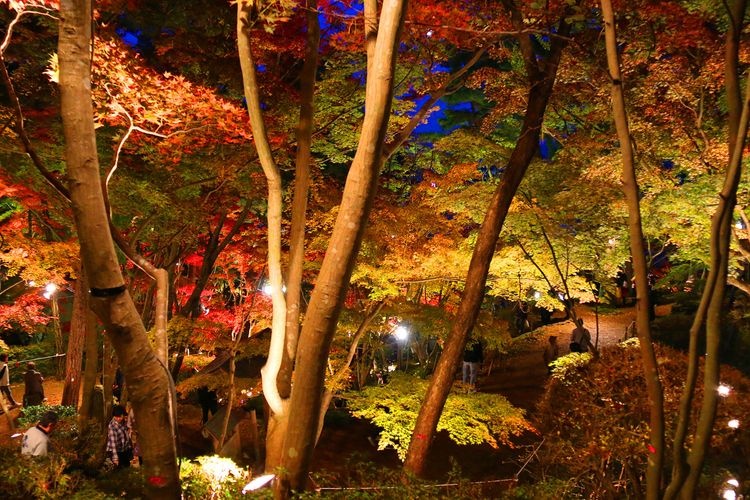 쇼운산소 (松雲山荘) 4