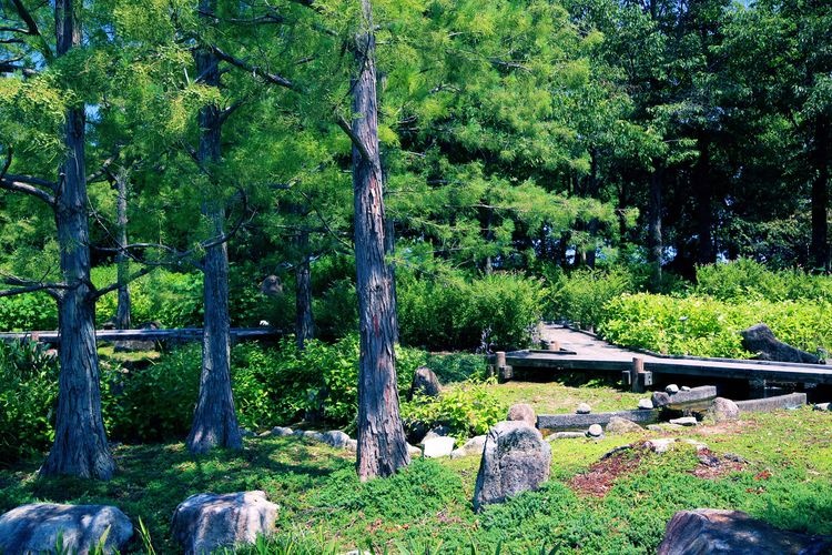 Parc de plantes aquatiques Mizunomori