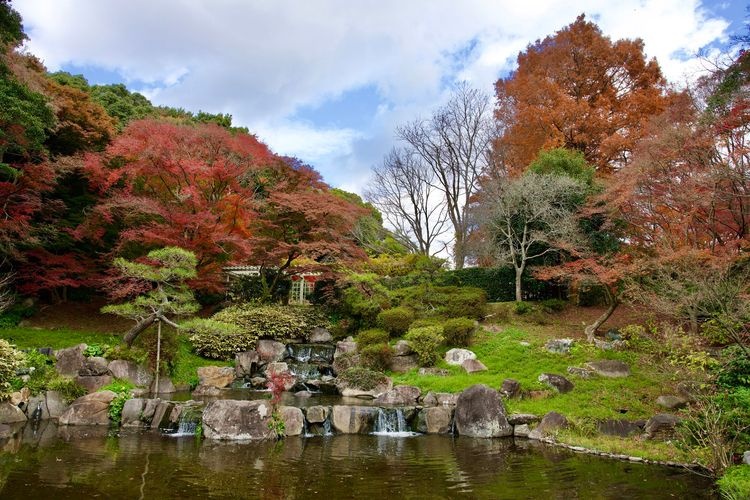 須磨離宮公園 (Suma Rikyu Park)