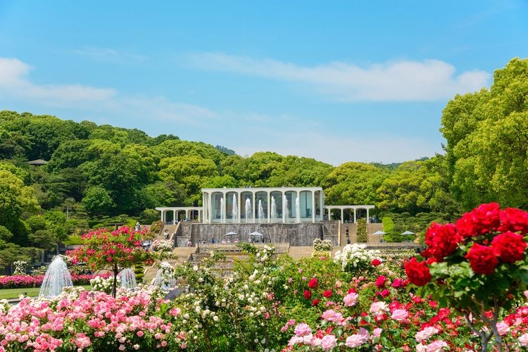 須磨離宮公園 (Suma Rikyu Park) 2