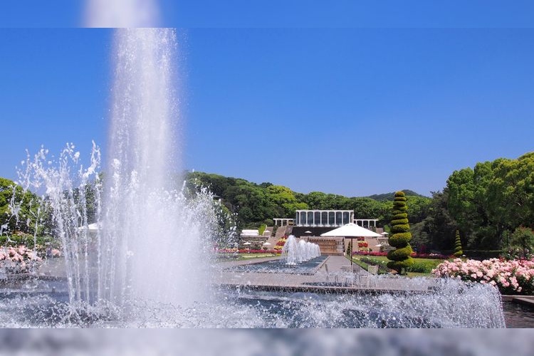 須磨離宮公園 (Suma Rikyu Park) 3