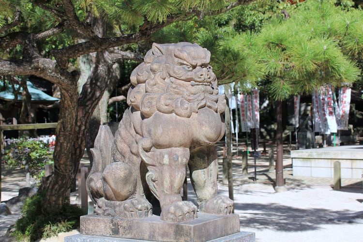 Sumiyoshi Shrine 3