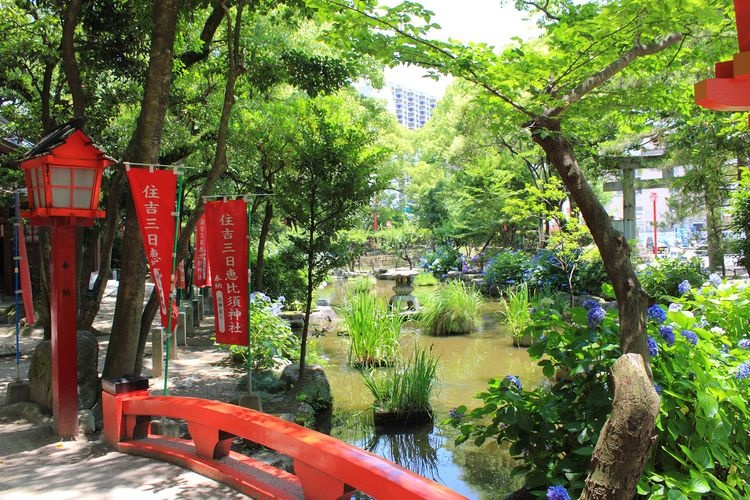 Sumiyoshi Shrine 4