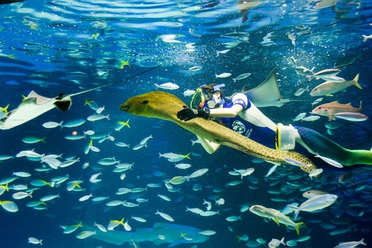 Sunshine 水族館