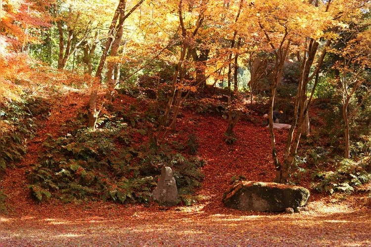 諏訪神社