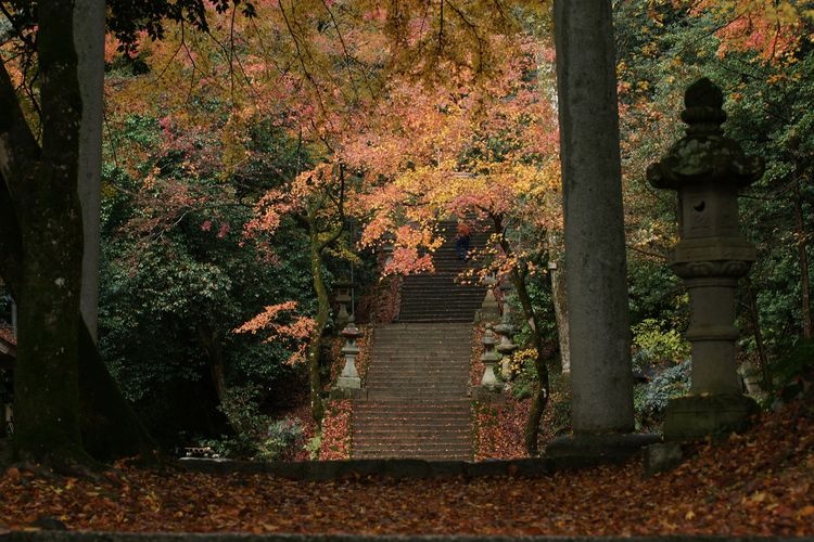 스와 신사(諏訪神社) 2