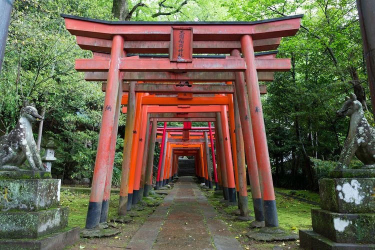 Chinsei Taisha Suwa Jinja 2