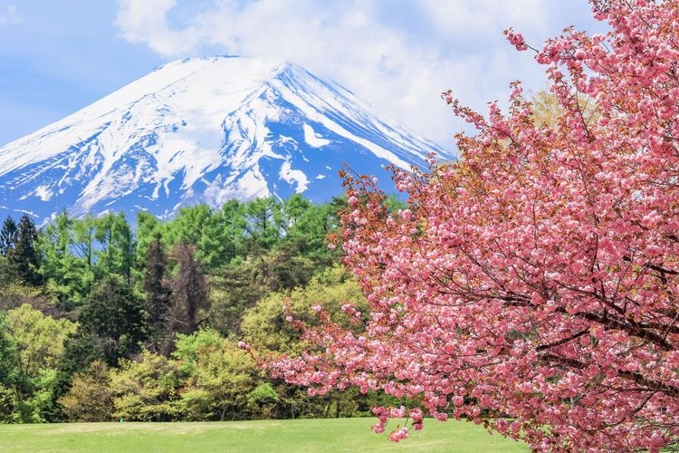 Suwa no Mori Nature Park