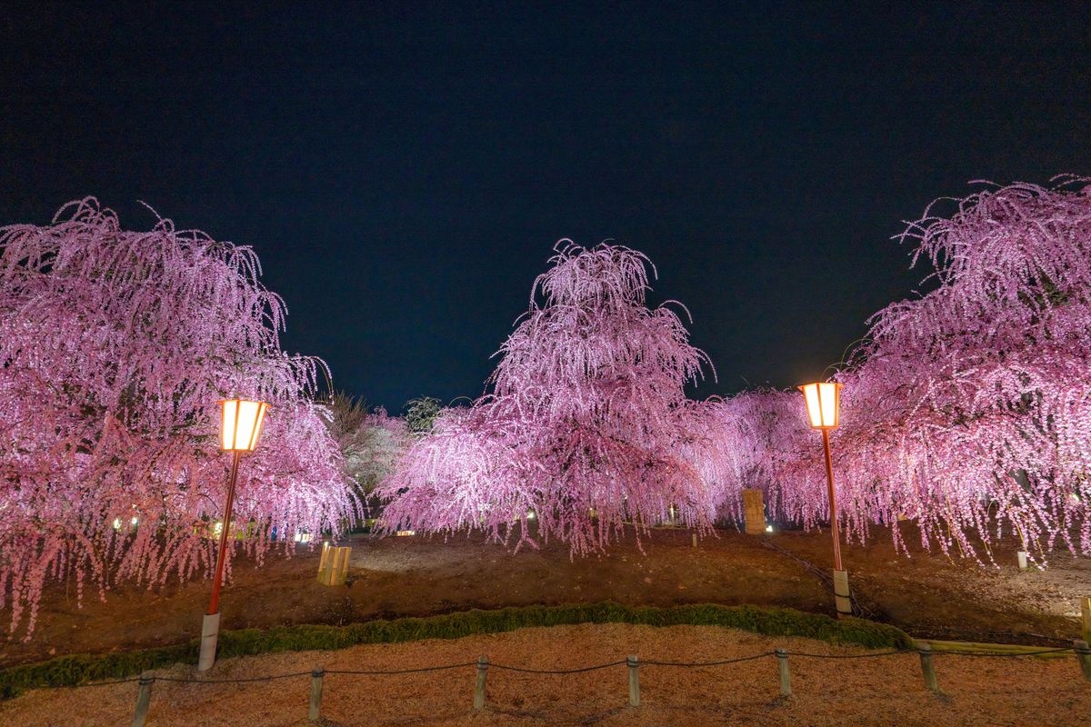 Suzuka no Mori Teien