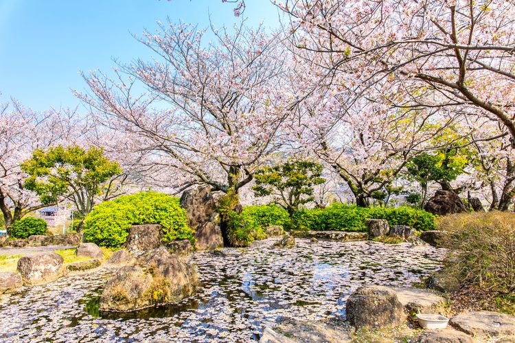 Sanctuaire Tachibana 3