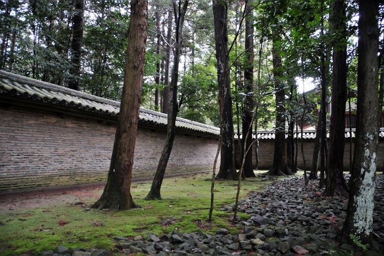 타다 신사 (Tada Shrine) 3