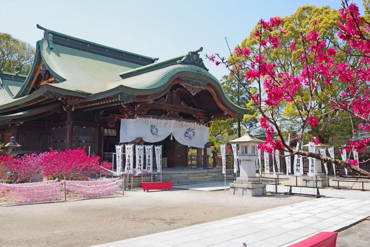 ศาลเจ้าทากะ (Taga Shrine)