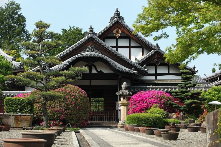 Taima-dera Temple 6