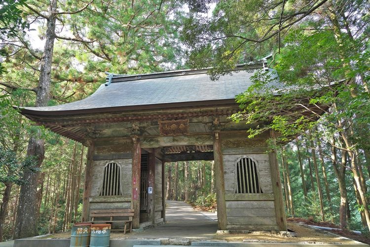 Tai muchū-ji
