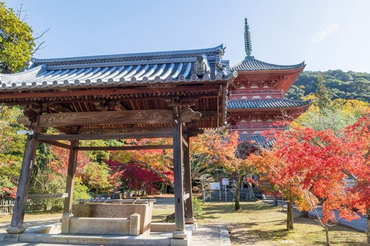 Taizan-ji Temple 2