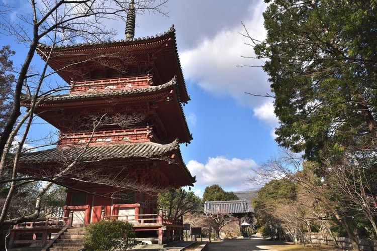 Taizan-ji Temple 3