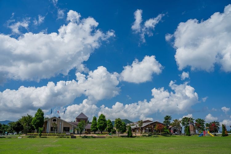 但馬牧場公園 (Tajima Bokujo Park)