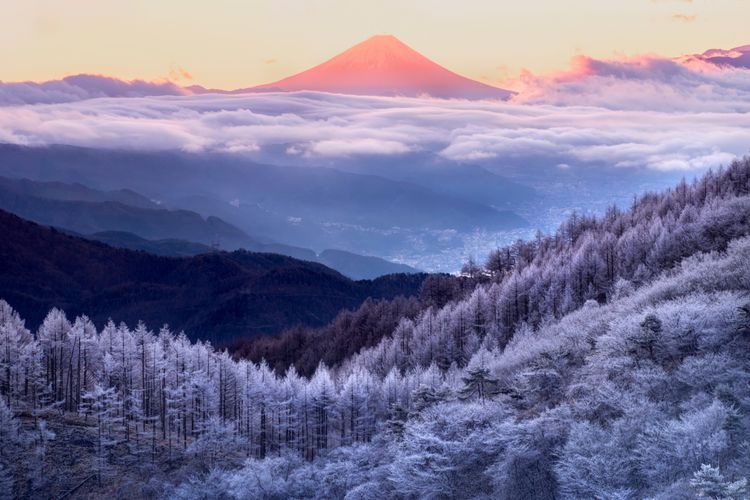 Takabotchi Kogen Plateau 3